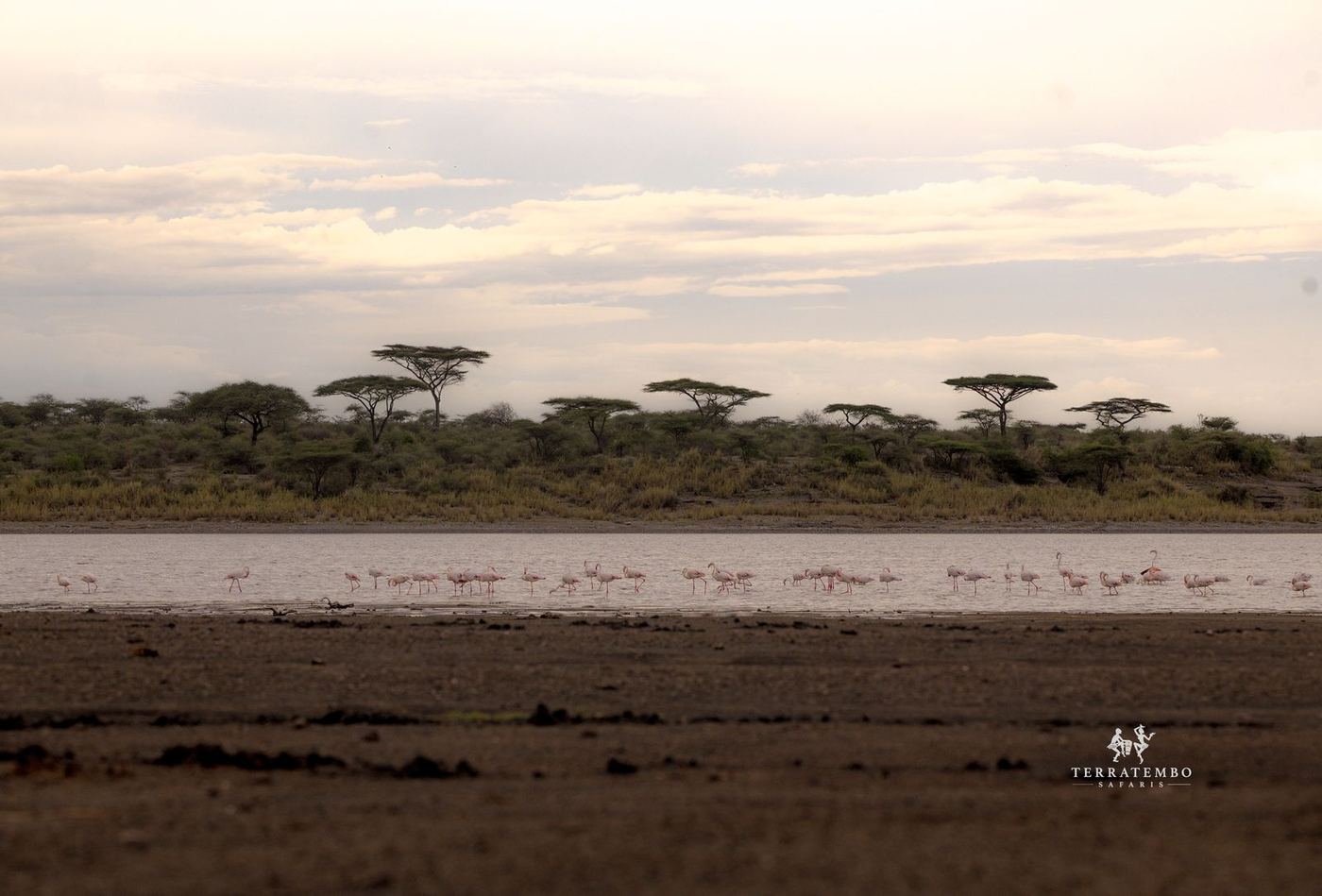 Lake Manyara National Park