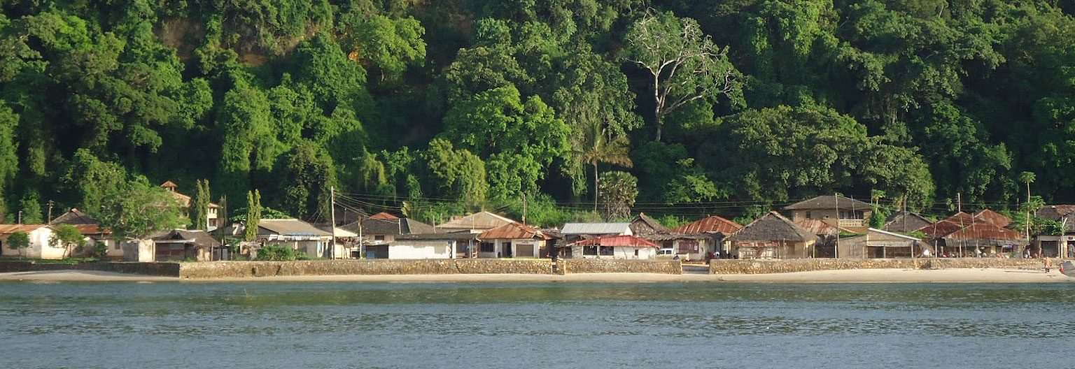 Pangani